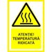 Placuta atentie temperatura ridicata